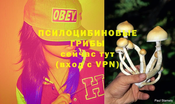мескалин Беломорск