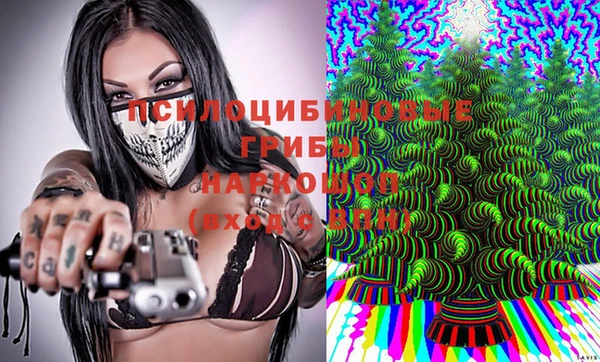 МДМА Белокуриха